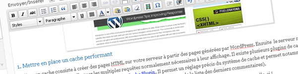 wordpress-tinymce